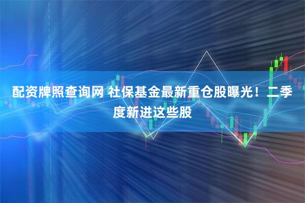 配资牌照查询网 社保基金最新重仓股曝光！二季度新进这些股